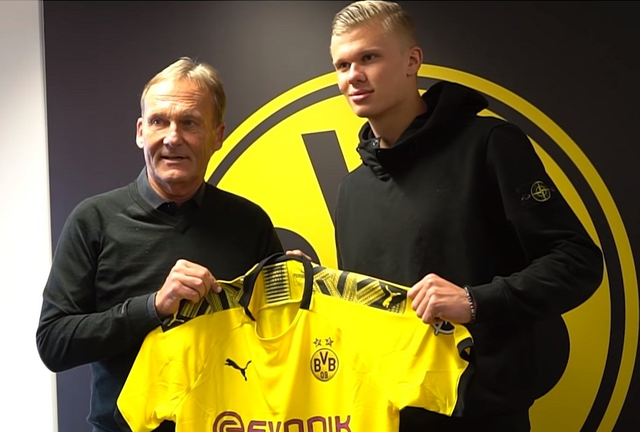 满血版彼得-严，第一个把梅拉布打得如此狼狈的人？（巅峰彼得-严，首位让梅拉布如此狼狈的人？）